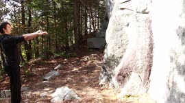 Standing catleap fail