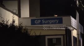 Fox On Top Of Doctors Surgery 