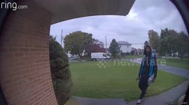 Amazon vs Spider. Still a job well done. Dedicated worker appreciation.