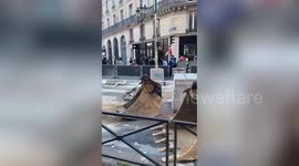 Tourists in Paris gassed by police after being caught in pro-Palestine protests