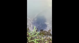 Mother fish watches discreetly as Chinese woman marveled at the fry in pond