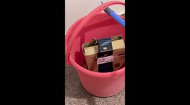 Couple horrified to find live SNAKE in order from Jeff Bezos' Amazon