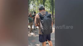 Friendly pelican waddles between tourists at park