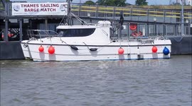 Dolphins spotted in River Thames off Kent, UK
