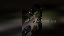 UK: Public Outcry After Surrey Police Ram Calf Named Beau in West London Incident