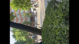 China: An Unusual Sight on the Streets of Tianjin