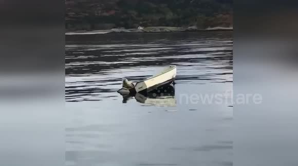 Seal commandeers rowing boat on Scottish loch - Buy, Sell or Upload Video Content with Newsflare