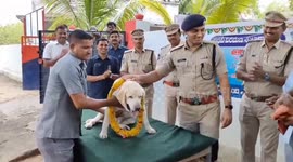 Bomb squad dog given lavish retirement ceremony in India