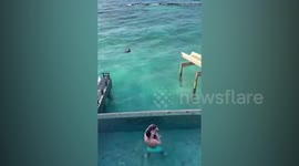 Former Real Madrid star saves couple from drowning in the Maldives