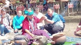 Shaman eats raw buffalo meat in ancient thanksgiving ceremony in Thailand