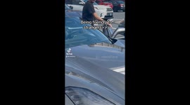 Early Morning Trader Joe’s Shopping Trip In Silver Spring Maryland Turned Into Exotic Bird Experience