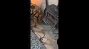 temp