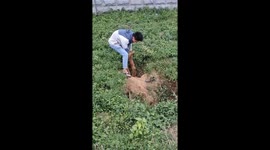 Couple rescues elderly man trapped in pit in northern China