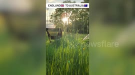 Lad cycling from UK to Australia just like his dad 40 years ago - with the same bike