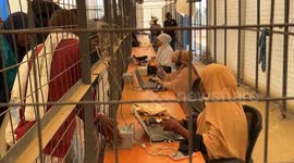 Kenya: WFP adopts needs-based approach for refugee aid in Kenya