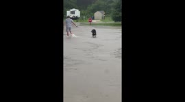 Wisconsin flooding: dedicated owner walks dog through floodwaters