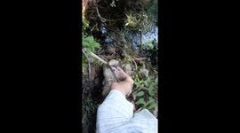 Impressive footwork: capturing a snake with toes in North Florida