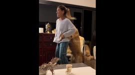 Dancing duo: imitating TV dance moves with a dog in Pando, Uruguay