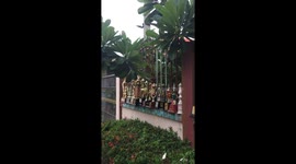 Mystery house has dozens of trophies on garden wall