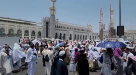 Saudi Arabia: Why so many pilgrims have died in Mecca