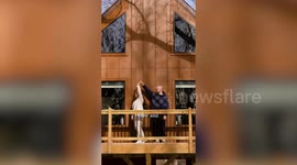 Couple announce pregnancy joking they had too much free time and financial freedom