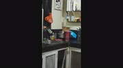 temp