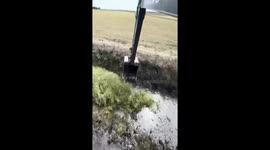 Excavator unearths crocodile while clearing riverbed in China