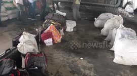 Authorities destroy cannabis worth $478,607.20 on International Day Against Drug Abuse in southern India