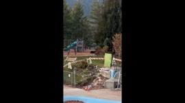 Encounter with playful bears: Nelson, BC