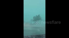 USA: Storms In Indiana Leave Residents Without Power, Knock Down Trees