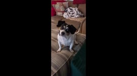 Singing with Daisy Lou