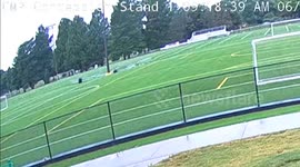 Massive sinkhole swallows light pole and spectator benches on Illinois soccer field