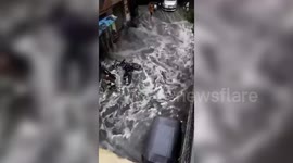 India: Northern India faces chaos as torrential rains flood city, submerging cars and scooters