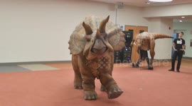 Memphis test walk before Liberty Science Center