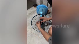Owner turns electric fan into awesome toy for kitten