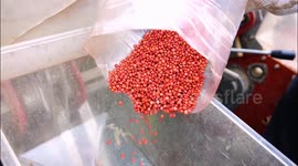 China: National Land Day