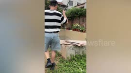 Couple uses plastic crate to rescue kitten from pond