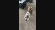 temp