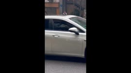 Chinese man creatively assists weary Akita on walk