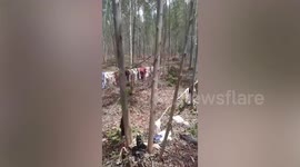 Shocked villagers find hundreds of women's underwear hanging on clothesline in Thai forest