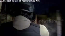 Scales of justice! Police find python instead of drugs inside suspicious package