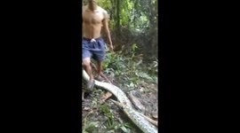 A housewife in Indonesia was killed by a 10 meter long python in Luwu, South Sulawesi