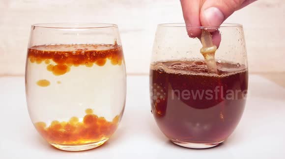 How To make Caviar from Dark Beer