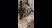 temp