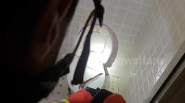Firefighter removes large snake found in toilet at villager's home in northern China