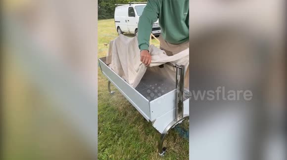 Shocking animal protest of 'dog roast' stuns Henley Royal Regatta