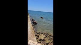 Massive crabs lifted by cranes in Chipiona, Spain