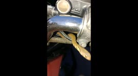Snake emerges on motorcycle handlebars while owner rides home