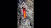 temp