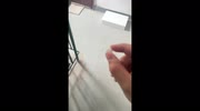 temp